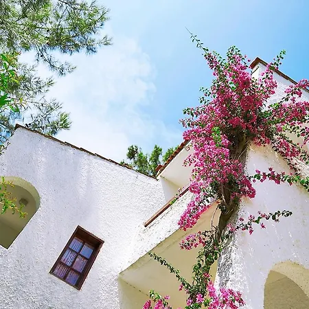Halici Semera Village 4*